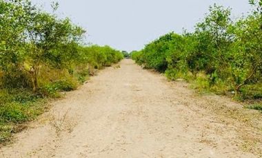 Ocasión Se Vende Terreno Para Casa De Campo En Chincha Baja
