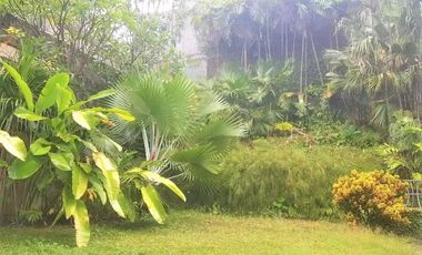 Dijuall Rumah Asri di Cipete Kondisi Unfurnished by Sava Properti HSE-A0737