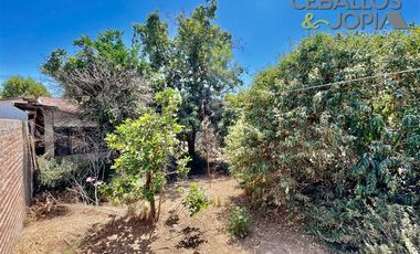 Local Comercial en venta en Limache