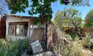 Local Comercial en venta en Limache