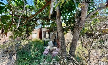 Local Comercial en venta en Limache