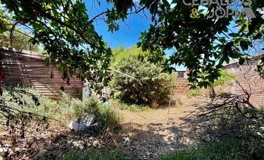 Local Comercial en venta en Limache