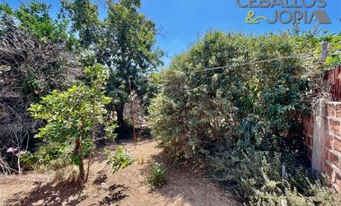 Local Comercial en venta en Limache