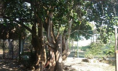 lote en venta en pradomar. Cod V7188