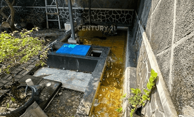 Rumah 2 Lantai Dengan Halaman Belakang Di Mergangsan