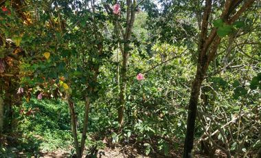 lote en venta en ruitoque bajo. Cod V95707