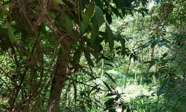 lote en venta en ruitoque bajo. Cod V95707