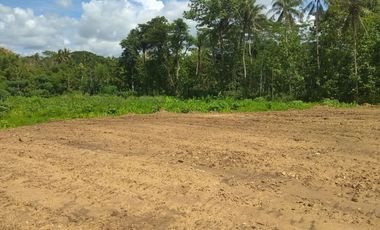 Dekat IAIN Pekalongan: Kavling Pekarangan, 80 Jt-an