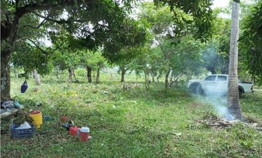 20 HECTAREAS DE TERRENO A POCOS MINUTOS DEL VALLE DE ANTÓN