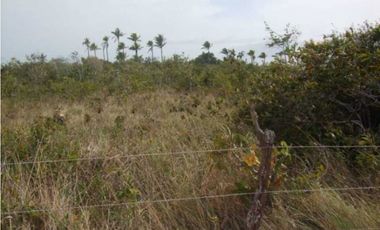 20 HECTAREAS DE TERRENO A POCOS MINUTOS DEL VALLE DE ANTÓN