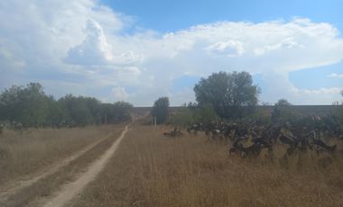 terreno en venta a pie de carretera san luis potosi - san luis de la paz