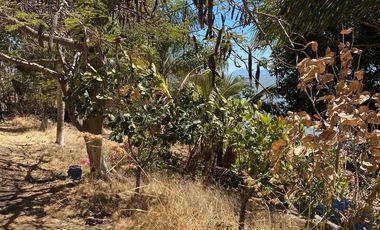 Terreno en Venta en Poncitlán