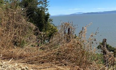 Terreno en Venta en Poncitlán