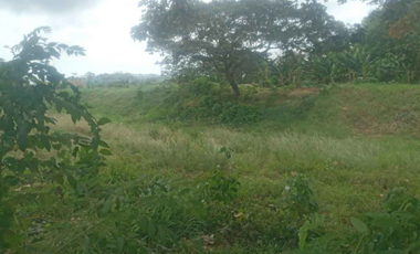 SE VENDE TERRENO EN - CHORRERA - 6209RC