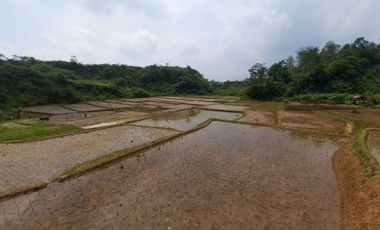 Sawah dijual produktif Bandung Barat