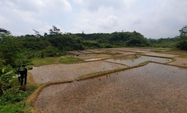 Sawah dijual produktif Bandung Barat