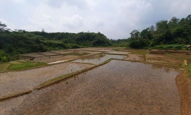 Sawah dijual produktif Bandung Barat
