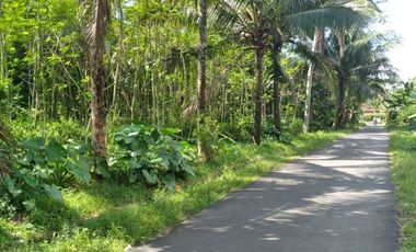 Kavling Dekat Taman Wisata Borobudur Magelang SHM Perunit