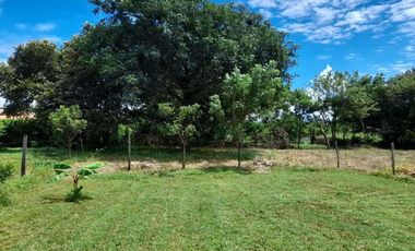 Ready to Build Flat Land in Nueva Gorgona!!