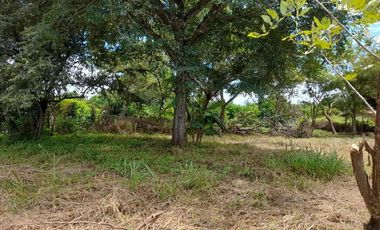 Ready to Build Flat Land in Nueva Gorgona!!