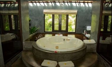 Reverside villa ,Tabanan ,Bali.