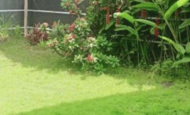 Rumah Terawat Apik Tanah Luas Siap Huni Pondok Hijau Indah Sukasari Bandung