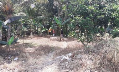 Road side land in Sandubaya Mandalika