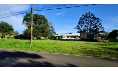 VENDO 2000M2 AREA COMERCIAL DE ESQUINA DAVID