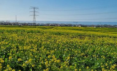 Se vende terreno de 157 m2 en Costa Dorada, Tijuana