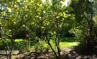 Parcela en Venta en Sector Puertas Negras, Talca