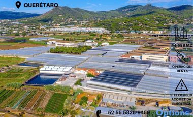 Rent industrial land in Querétaro