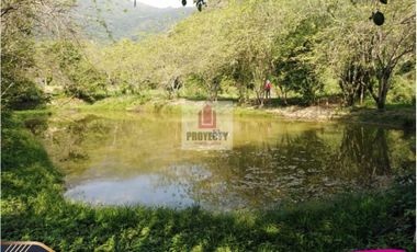 venta finca grande san cayetano area Cúcuta 16 hectareas