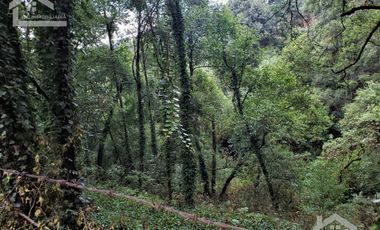 OPORTUNIDAD!!!!!!CASA CON GRAN TERRENO $1976 EL M2 EN LA ENTRADA DEL PUEBLO MINERAL DEL CHICO PUEBLO MÁGICO