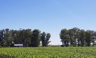 SE VENDEN 2 HECTAREAS EN RUTA 12 - EXCELENTE OPORTUNIDAD