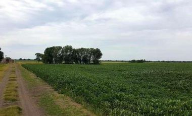 SE VENDEN 2 HECTAREAS EN RUTA 12 - EXCELENTE OPORTUNIDAD