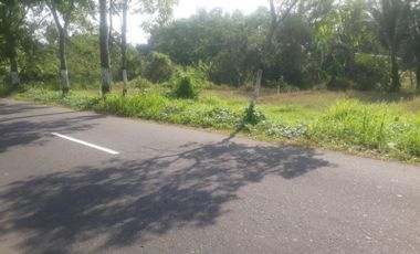 Tanah Murah Strategis Pinggir Jalan Raya Turi Jl. Magelang Km.10