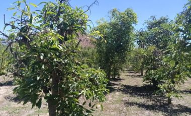 Parcela en Venta | Sector Aparición, Paine