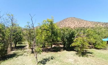 Parcela en Venta | Sector Aparición, Paine