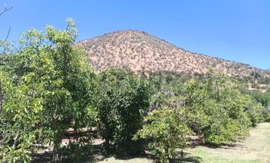 Parcela en Venta | Sector Aparición, Paine