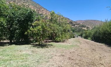 Parcela en Venta | Sector Aparición, Paine