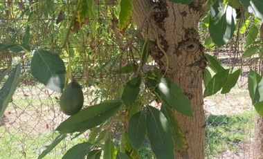 Parcela en Venta | Sector Aparición, Paine