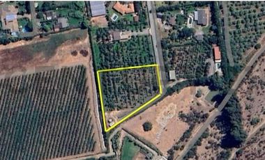 Parcela en Venta | Sector Aparición, Paine