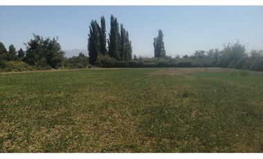 Terreno Calle Larga Los Andes