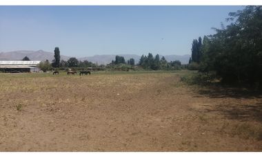 Terreno Calle Larga Los Andes