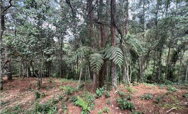 LOTES EN EL RETIRO ANTIOQUIA VA DON DIEGO LA CEJA EN PARCELACION