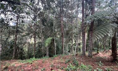 LOTES EN EL RETIRO ANTIOQUIA VA DON DIEGO LA CEJA EN PARCELACION