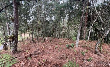 LOTES EN EL RETIRO ANTIOQUIA VA DON DIEGO LA CEJA EN PARCELACION