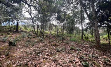 LOTES EN EL RETIRO ANTIOQUIA VA DON DIEGO LA CEJA EN PARCELACION