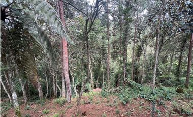 LOTES EN EL RETIRO ANTIOQUIA VA DON DIEGO LA CEJA EN PARCELACION