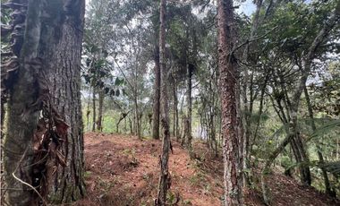 LOTES EN EL RETIRO ANTIOQUIA VA DON DIEGO LA CEJA EN PARCELACION